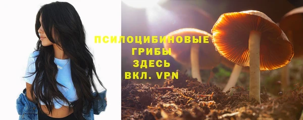 трава Беломорск