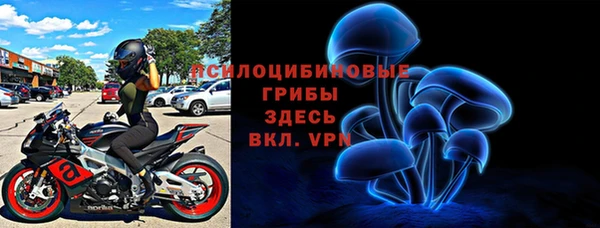 трава Беломорск