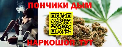 сатива Бийск
