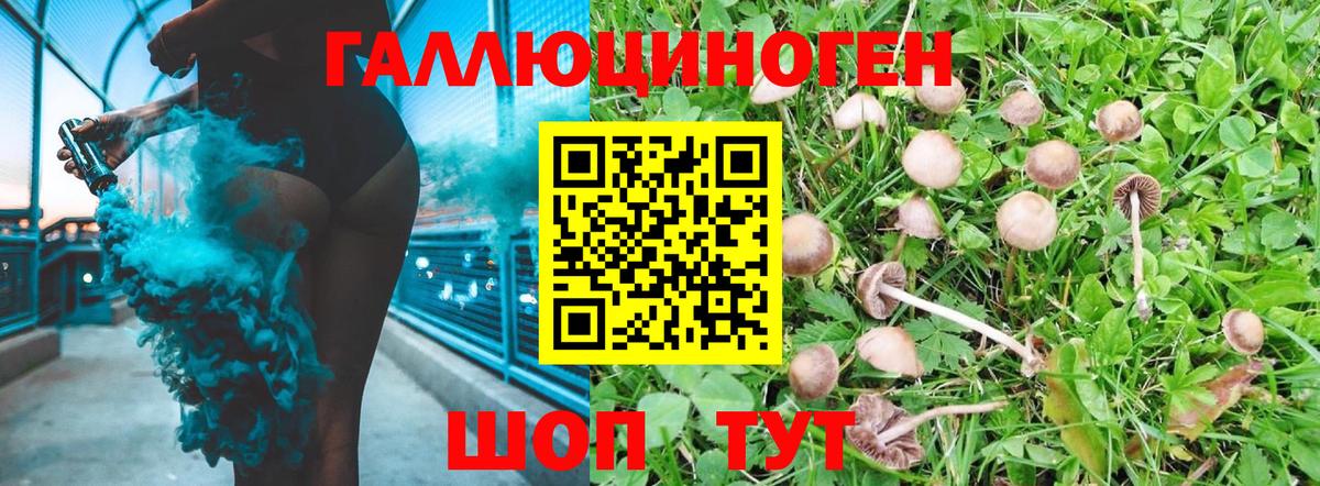 Великий Устюг  Галлюциногенные грибы Cubensis  Вход с VPN 